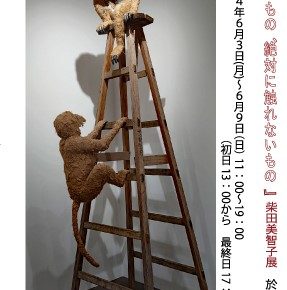 《 柴田美智子展『触れるもの、絶対に触れないもの』 》1.2F